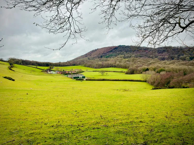 Where Words Take Wing: The English Landscapes That Forged Literary Immortality